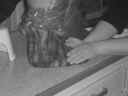 Filtning p� fod